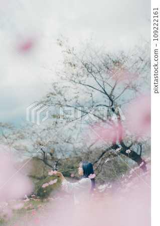 A woman standing in a cosmos field A woman standing in a cosmos field 109222161
