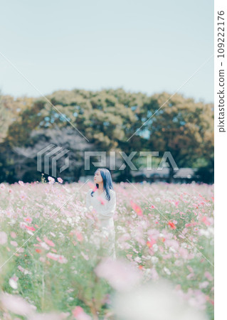 A woman standing in a cosmos field 109222176