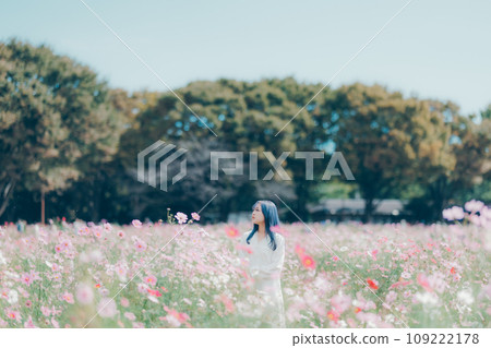 A woman standing in a cosmos field 109222178