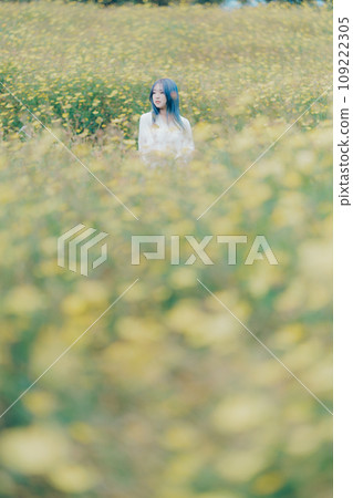A woman standing in a yellow cosmos A woman standing in a yellow cosmos 109222305
