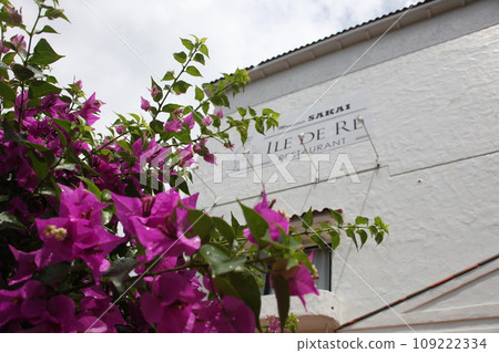 Scenery of the outer wall of Ile de Re_Okinawa Onna Village 109222334