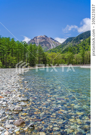 [鮮綠上高地]清澈的梓川和落葉松和燒岳 109223837