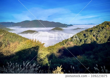 Sea of clouds Sea of clouds 109223875