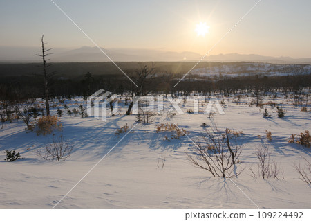 Midwinter morning on the plateau 109224492