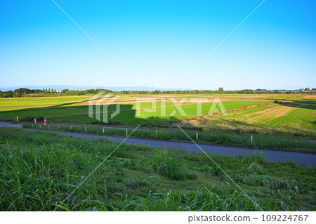 Scenery from the cycling road, early autumn, view from the Arakawa bank 109224767