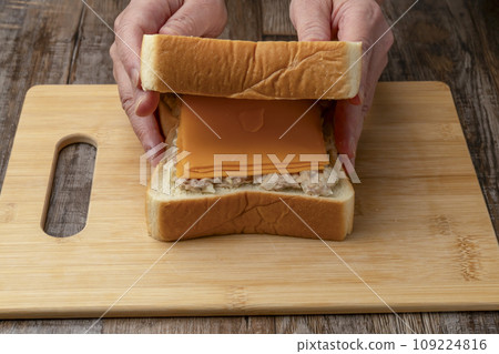 Hot sandwich sandwiched between bread 109224816