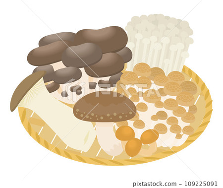 Illustration of a basket of mushrooms 109225091