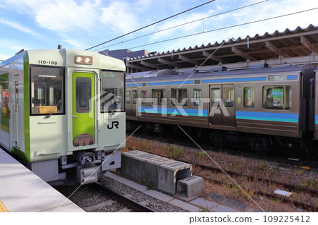 小海線的Kiha 100系列柴油列車和E127系列列車（小淵澤站） 109225412