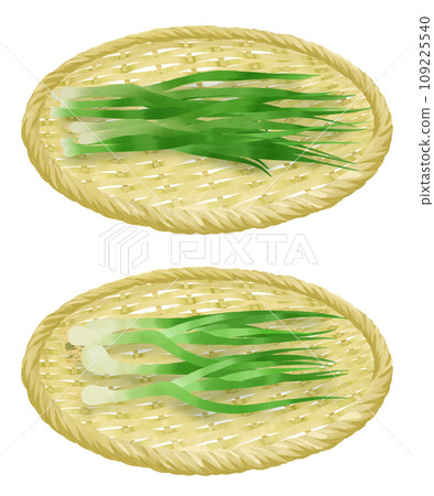 漏勺上的通用蔥和洋蔥的插圖集 109225540