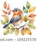 watercolor little bird 109225578