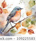 watercolor little bird 109225583