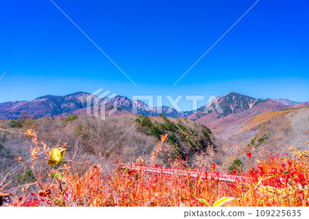 [Autumn material] Higashizawa Bridge and Yatsugatake in late autumn with blue skies [Yamanashi Prefecture] 109225635