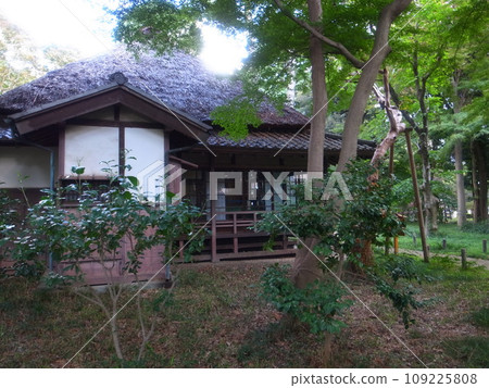 Ashiaka Park 109225808