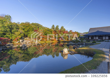 Kyoto Tenryuji Temple early morning autumn leaves at Sogenike Garden 109225856