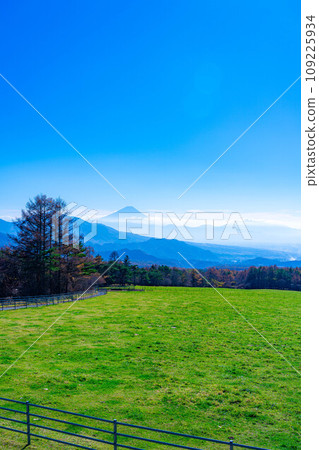 [Mt. Fuji material] Mt. Fuji and blue sky seen from Yamanashi Prefectural Makiba Park [Yamanashi Prefecture] 109225934