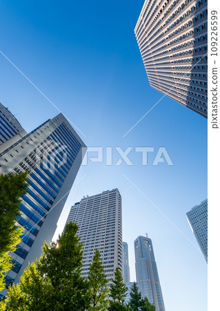 新宿副中心中央大道銀杏樹和摩天大樓 2023.11 A-1 109226599