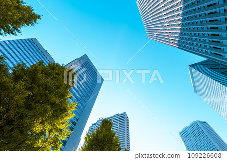 Shinjuku subcenter Chuo-dori Ginkgo trees and skyscrapers 2023.11 b-3 Light tone 109226608
