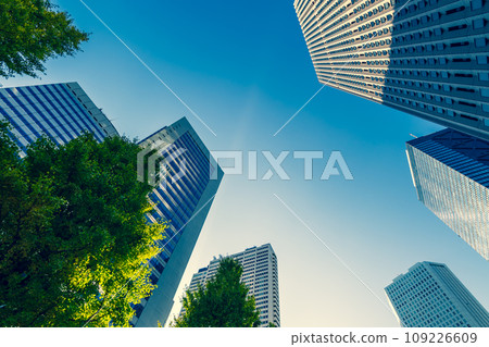 Shinjuku subcenter Chuo-dori Ginkgo trees and skyscrapers 2023.11 b-4 Emphasis on warm colors and cool colors Shinjuku subcenter Chuo-dori Ginkgo trees and skyscrapers 2023.11 b-4 Emphasis on warm colors and cool colors 109226609