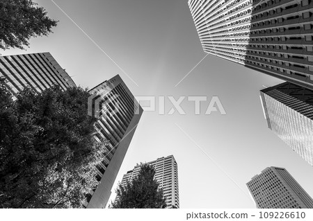 Shinjuku subcenter Chuo-dori Ginkgo trees and skyscrapers 2023.11 b-5 monochrome Shinjuku subcenter Chuo-dori Ginkgo trees and skyscrapers 2023.11 b-5 monochrome 109226610