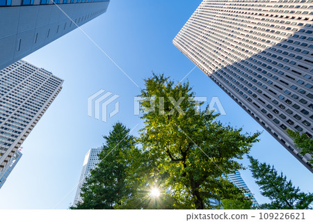 Shinjuku subcenter Chuo-dori Ginkgo trees and skyscrapers 2023.11 e-1 Shinjuku subcenter Chuo-dori Ginkgo trees and skyscrapers 2023.11 e-1 109226621