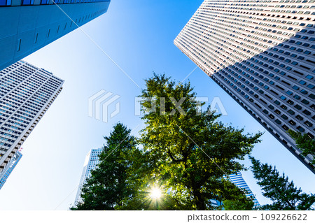Shinjuku subcenter Chuo-dori Ginkgo trees and skyscrapers 2023.11 e-2 High chroma contrast Shinjuku subcenter Chuo-dori Ginkgo trees and skyscrapers 2023.11 e-2 High chroma contrast 109226622
