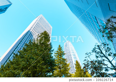 Shinjuku subcenter Chuo-dori Ginkgo trees and skyscrapers 2023.11 F-3 Light tone Shinjuku subcenter Chuo-dori Ginkgo trees and skyscrapers 2023.11 F-3 Light tone 109226714