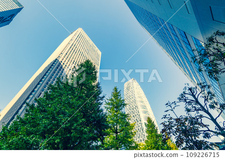 Shinjuku subcenter Chuo-dori Ginkgo trees and skyscrapers 2023.11 f-4 Emphasis on warm colors and cool colors Shinjuku subcenter Chuo-dori Ginkgo trees and skyscrapers 2023.11 f-4 Emphasis on warm colors and cool colors 109226715