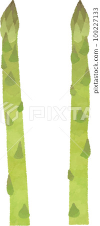 Asparagus watercolor style illustration material 109227133