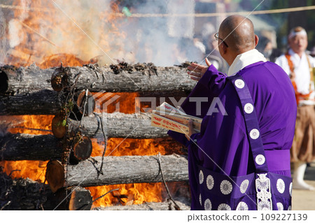 Bamboo fire Bamboo fire 109227139