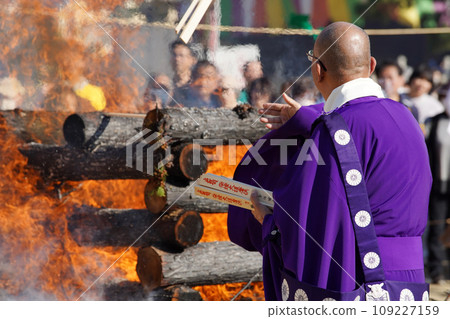 Bamboo fire Bamboo fire 109227159