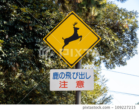 路標。這個標誌（警告標誌）是一個補充標誌，上面寫著“有動物跳出的危險”和“小心鹿跳出”。 109227215