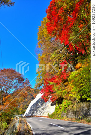 [長野縣] 木曾郡木曾町禦岳的秋天，紅葉的山脈 109227286
