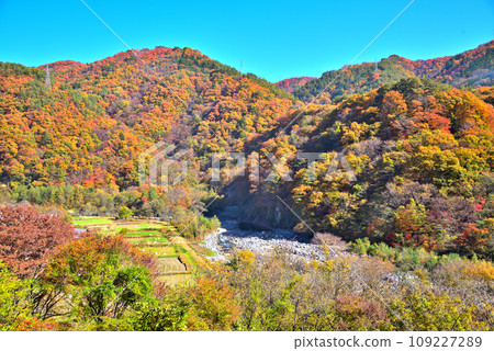 [長野縣] 木曾郡木曾町禦岳的秋天，紅葉的山脈 109227289