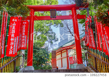 [東京的都會景觀] 日枝神社週邊的都會景觀 109227458