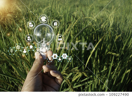 Hand holding light bulbs and icons global warming.Creative thinking ideas for work on desk.searching for new ideas,Knowledge,successful, wisdom.Photo concept of knowledge and education. Hand holding light bulbs and icons global warming.Creative thinking ideas for work on desk.searching for new ideas,Knowledge,successful, wisdom.Photo concept of knowledge and education. 109227490