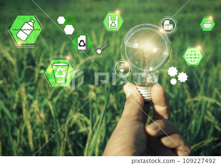 Hand holding light bulbs and icons global warming.Creative thinking ideas for work on desk.searching for new ideas,Knowledge,successful, wisdom.Photo concept of knowledge and education. Hand holding light bulbs and icons global warming.Creative thinking ideas for work on desk.searching for new ideas,Knowledge,successful, wisdom.Photo concept of knowledge and education. 109227492