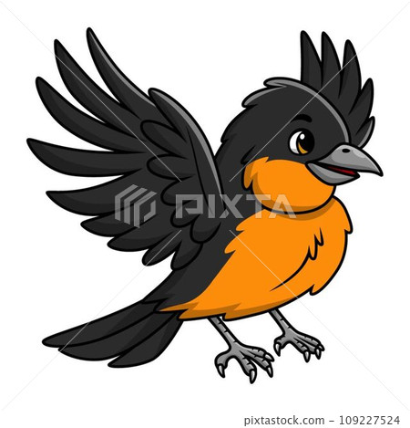 Cute baltimore oriole bird cartoon on white background Cute baltimore oriole bird cartoon on white background 109227524