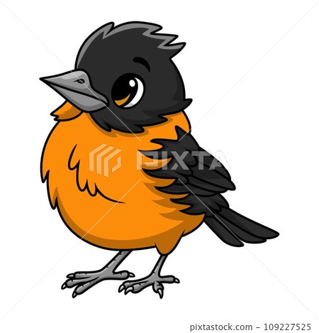 Cute baltimore oriole bird cartoon on white background 109227525
