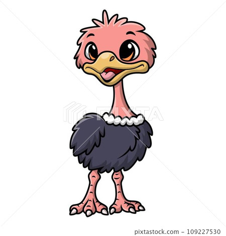 Cute ostrich cartoon on white background Cute ostrich cartoon on white background 109227530