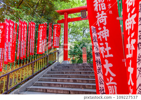 [東京的都會景觀] 日枝神社週邊的都會景觀 109227537