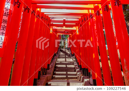 [Urban landscape of Tokyo] Urban landscape around Hie Shrine 109227546