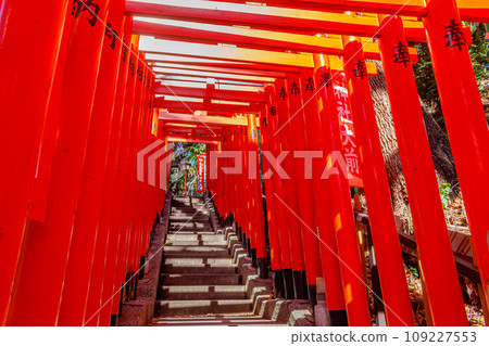 [Urban landscape of Tokyo] Urban landscape around Hie Shrine 109227553