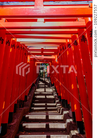 [東京的都會景觀] 日枝神社週邊的都會景觀 109227557