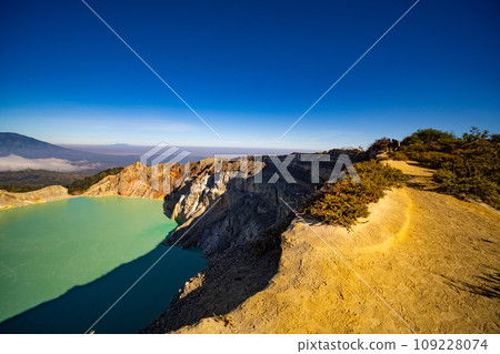 Deadwood Leafless Tree with Turquoise Water Lake,Beautiful nature Landscape mountain and green lake at Kawah Ijen volcano,East Java, Indonesia Deadwood Leafless Tree with Turquoise Water Lake,Beautiful nature Landscape mountain and green lake at Kawah Ijen volcano,East Java, Indonesia 109228074