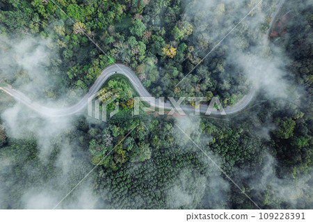 Forest road and morning fog, high angle Forest road and morning fog, high angle 109228391