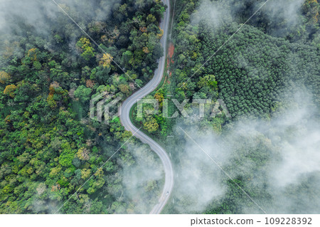 Forest road and morning fog, high angle 109228392