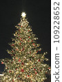 與聖誕樹的風景 109228652
