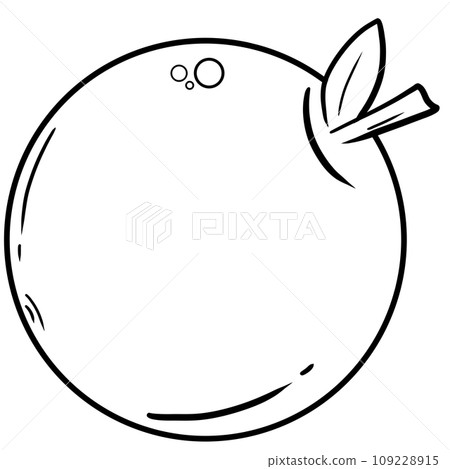 black line art of orange on a transparent background, coloring book art supply for kids black line art of orange on a transparent background, coloring book art supply for kids 109228915