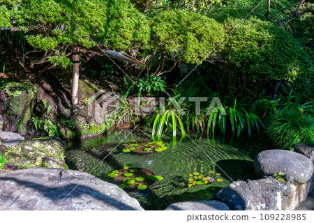 日本花園池塘，水從竹管中落下 109228985