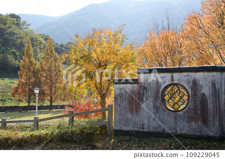 Gwandake Hanakawa 侵蝕控制公園的秋葉 109229045